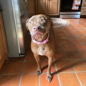 Meet your Posher, Julia